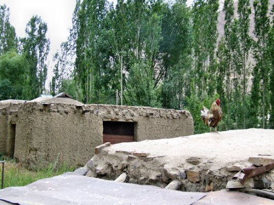 Na cestě z Chorogu do Iškašimu (20)